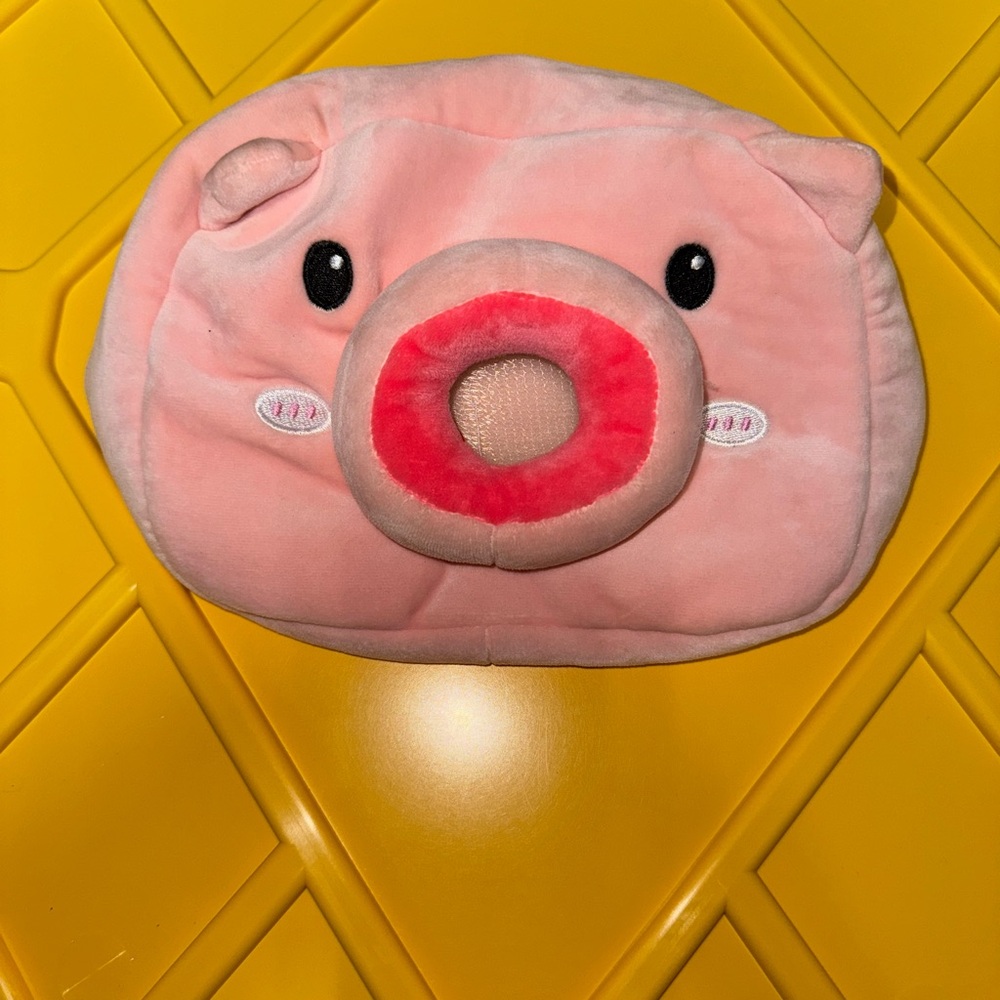 Car pig tissue holder